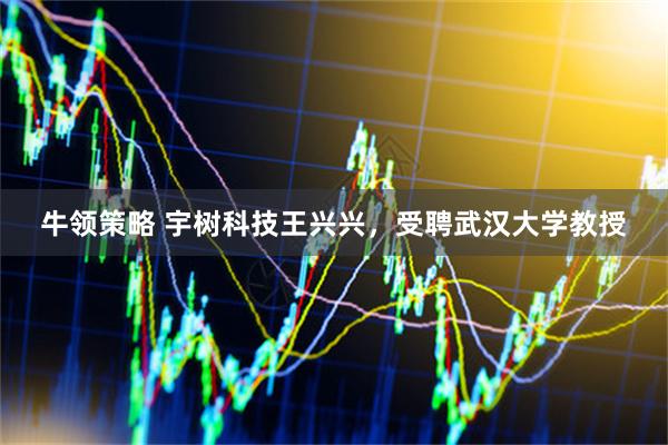牛领策略 宇树科技王兴兴，受聘武汉大学教授