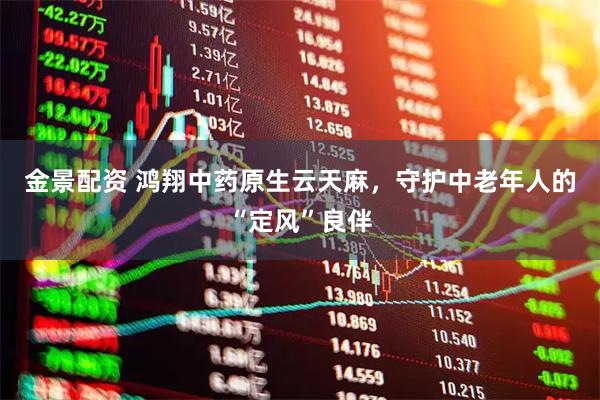 金景配资 鸿翔中药原生云天麻，守护中老年人的“定风”良伴